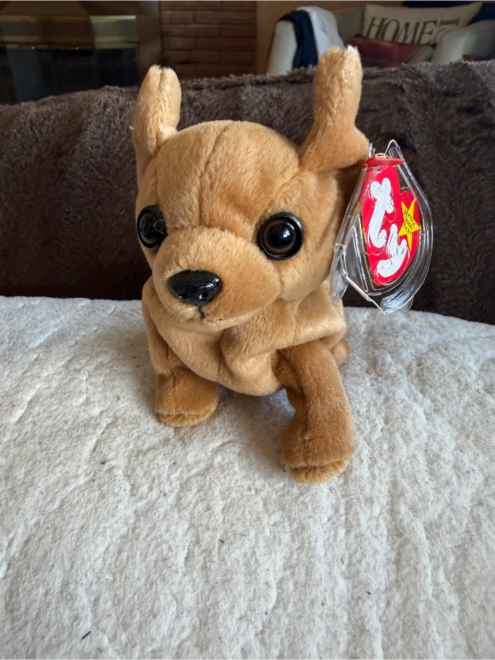 Ty NWT Tiny Beanie Baby Brown Plush Puppy with Large Black Eyes
